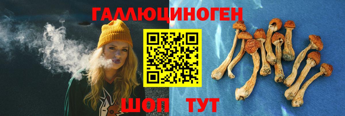 Псилоцибиновые грибы MAGIC MUSHROOMS Реутов